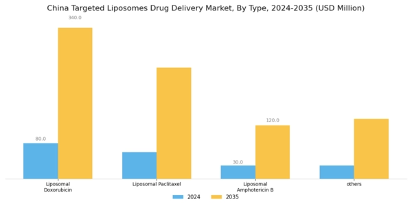 China Targeted Liposomes Drug Delivery Market Segment Image 0