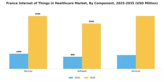 France Internet of Things in Healthcare Market Segment Image 1