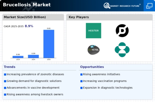 Brucellosis Market Infographic