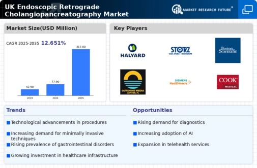 UK Endoscopic Retrograde Cholangiopancreatography Market Infographic