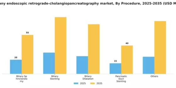 Germany Endoscopic Retrograde Cholangiopancreatography Market Segment Image 2