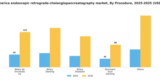 South America Endoscopic Retrograde Cholangiopancreatography Market Segment Image 2