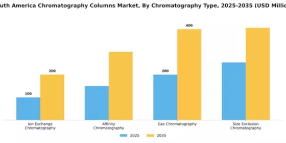 South America Chromatography Columns Market Segment Image 1