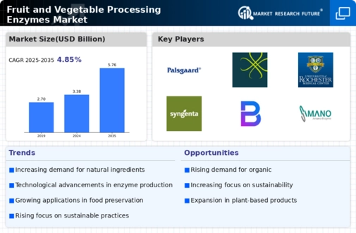 Fruit & Vegetable Enzymes Market Infographic