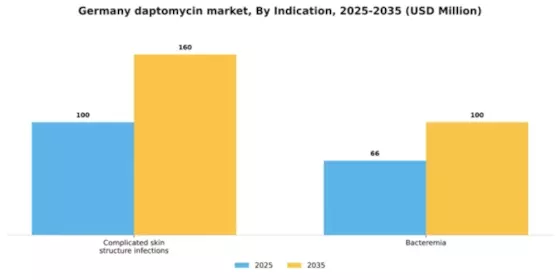 Germany Daptomycin Market Segment Image 1