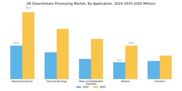 UK Downstream Processing Market Segment Image 0