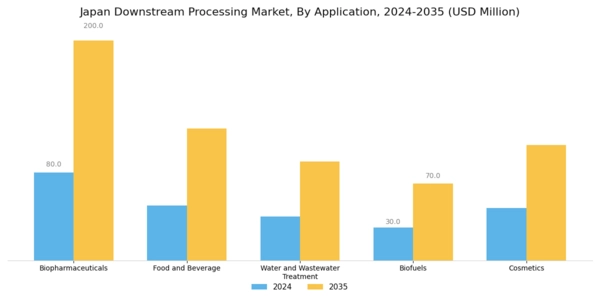 Japan Downstream Processing Market Segment Image 0