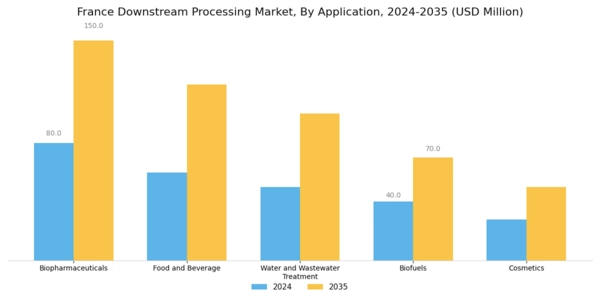 France Downstream Processing Market Segment Image 0