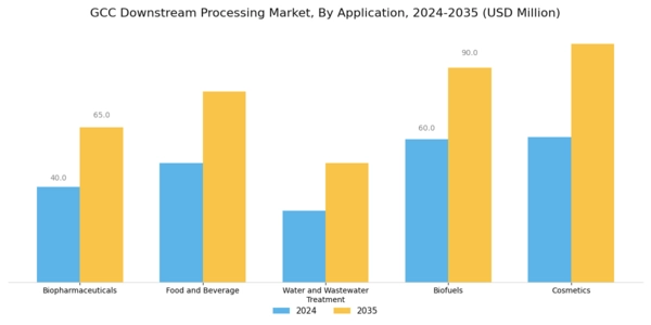 GCC Downstream Processing Market Segment Image 0
