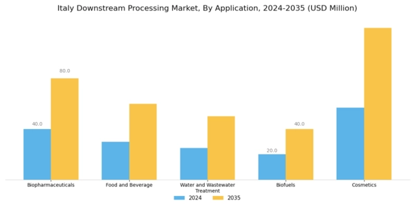 Italy Downstream Processing Market Segment Image 0