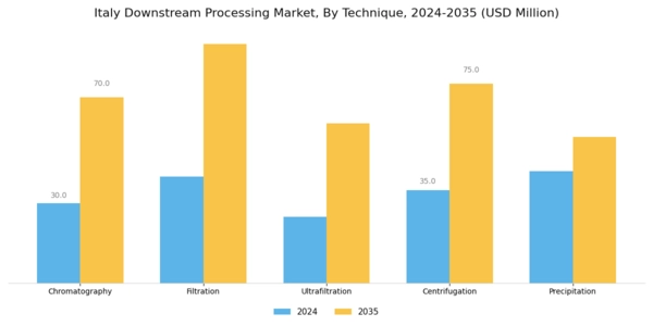 Italy Downstream Processing Market Segment Image 1
