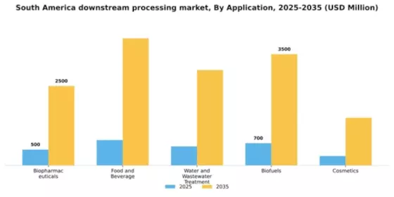 South America Downstream Processing Market Segment Image 0