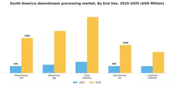 South America Downstream Processing Market Segment Image 1