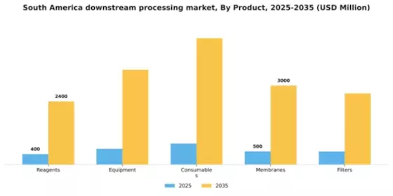 South America Downstream Processing Market Segment Image 2