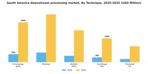 South America Downstream Processing Market Segment Image 3