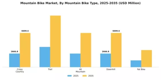 Mountain Bike Market Segment Image 1