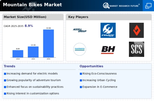 Mountain Bike Market Infographic