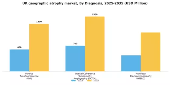 UK Geographic Atrophy (GA) Market Segment Image 1