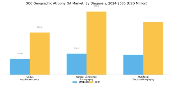 GCC Geographic Atrophy (GA) Market Segment Image 1