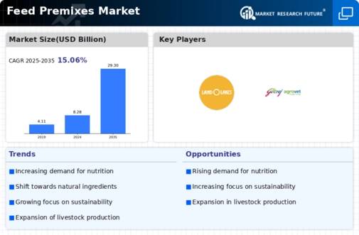 Feed Premix Market Infographic