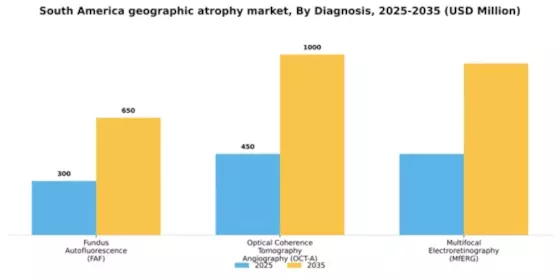 South America Geographic Atrophy (GA) Market Segment Image 1