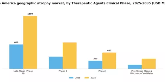 South America Geographic Atrophy (GA) Market Segment Image 2