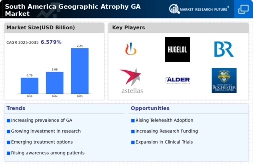 South America Geographic Atrophy (GA) Market Infographic