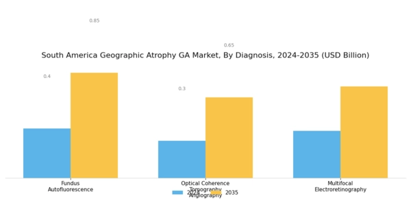 South America Geographic Atrophy (GA) Market Segment Image 1