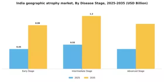 India Geographic Atrophy GA Market Segment Image 1