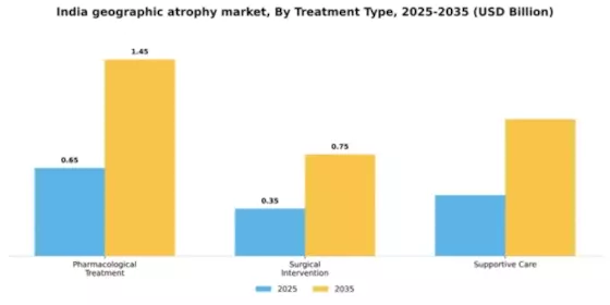 India Geographic Atrophy GA Market Segment Image 4