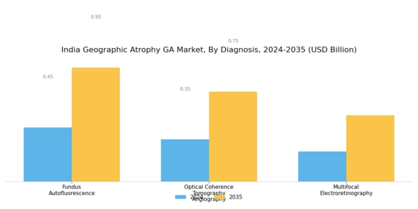 India Geographic Atrophy GA Market Segment Image 1