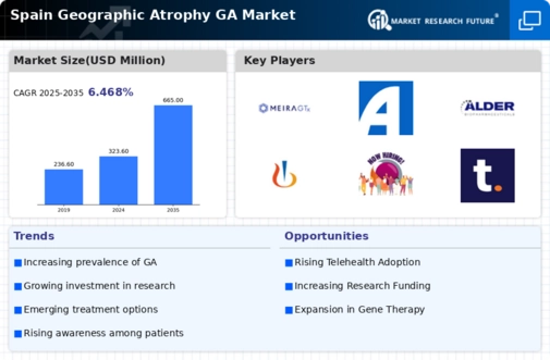 Spain Geographic Atrophy (GA) Market Infographic