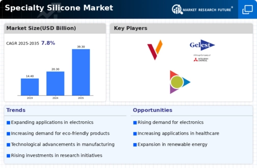 Specialty Silicone Market Infographic