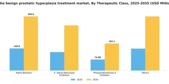 India Benign Prostatic Hyperplasia Treatment Market Segment Image 0