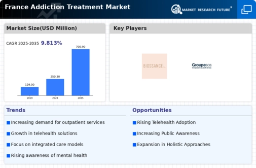 France Addiction Treatment Market Infographic