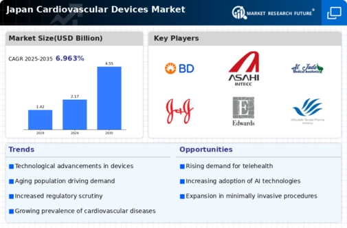 Japan Cardiovascular Devices Market Infographic
