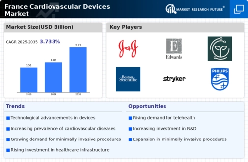 France Cardiovascular Devices Market Infographic