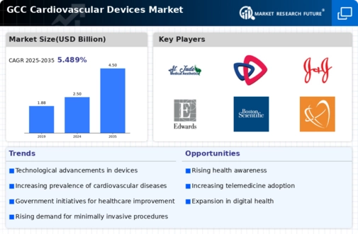 GCC Cardiovascular Devices Market Infographic