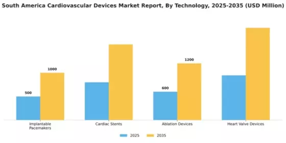 South America Cardiovascular Devices Market Segment Image 2