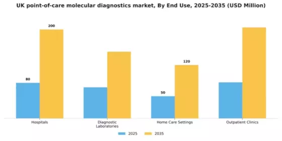 UK Point of Care Molecular Diagnostics Market Segment Image 1