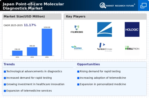 Japan Point of Care Molecular Diagnostics Market Infographic