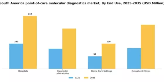 South America Point of Care Molecular Diagnostics Market Segment Image 1