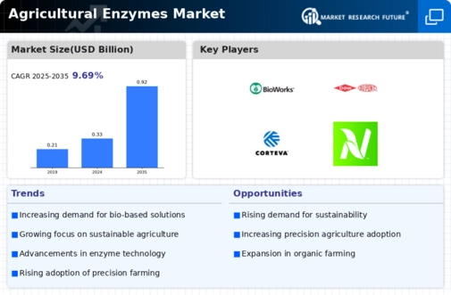Agricultural Enzymes Market Infographic