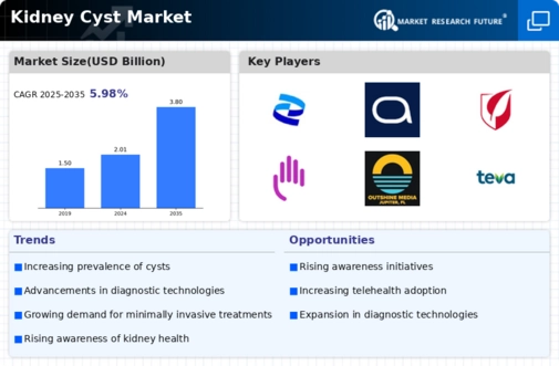 Kidney Cyst Market Infographic