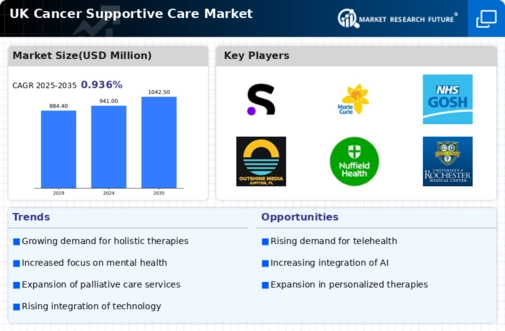 UK Cancer Supportive Care Market Infographic