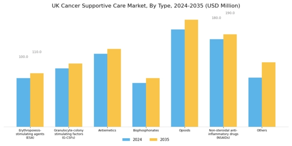 UK Cancer Supportive Care Market Segment Image 0