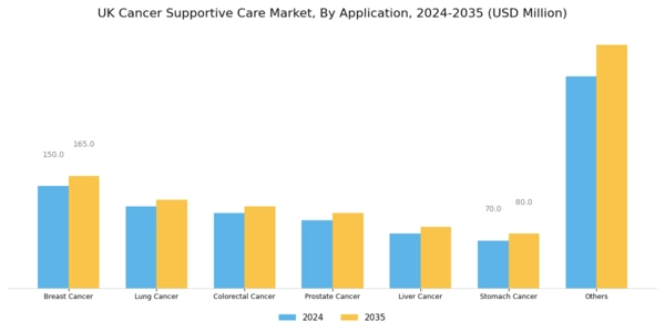 UK Cancer Supportive Care Market Segment Image 1