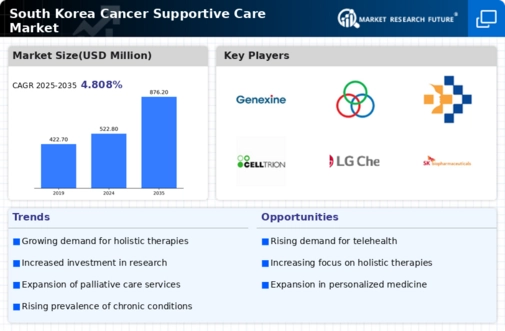 South Korea Cancer Supportive Care Market Infographic