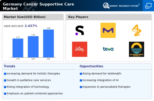 Germany Cancer Supportive Care Market Infographic