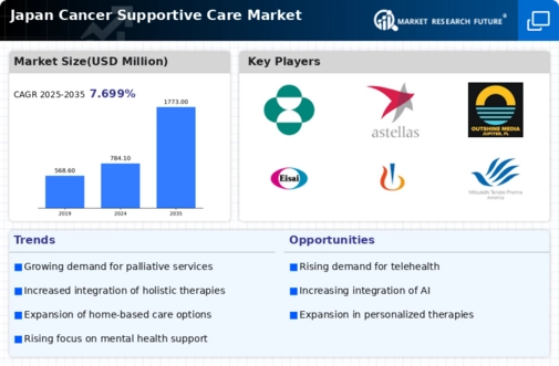 Japan Cancer Supportive Care Market Infographic
